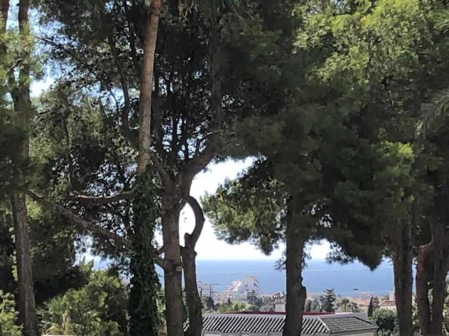 Estudio Torre De Andalucia Marbella Zewnętrze zdjęcie